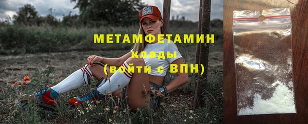 прущие грибы Горнозаводск