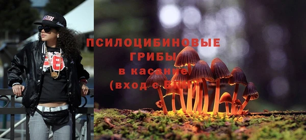 PSILOCYBIN Краснослободск